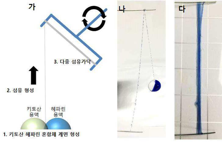 양전하 고분자 및 헤파린 또는 이의 염이 정전기 상호작용으로 결합된 고분자 복합체, 이의 제조방법 및 이를 포함하는 의료용 생체재료 조성물 대표 이미지