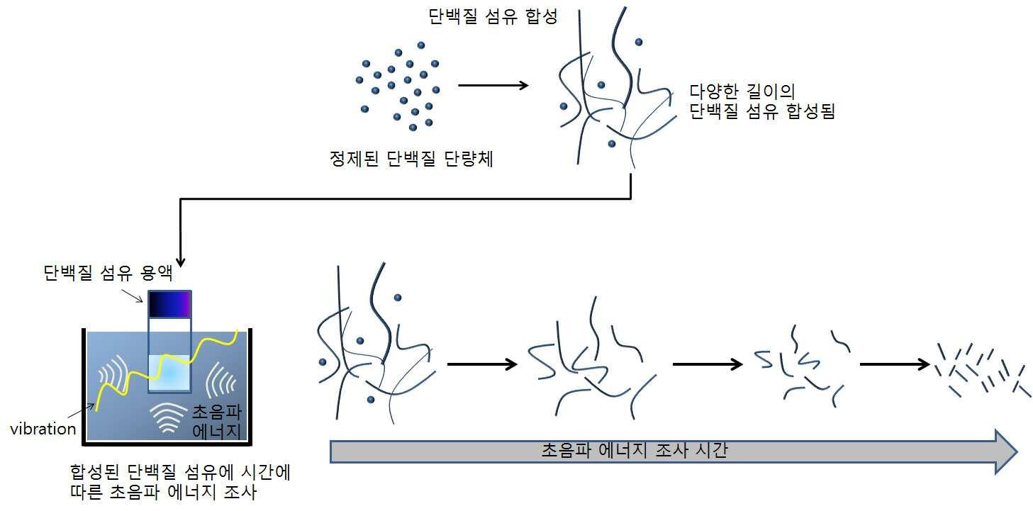 초음파 에너지에 의한 단백질 섬유의 분해를 통한 형상제어 방법 대표 이미지