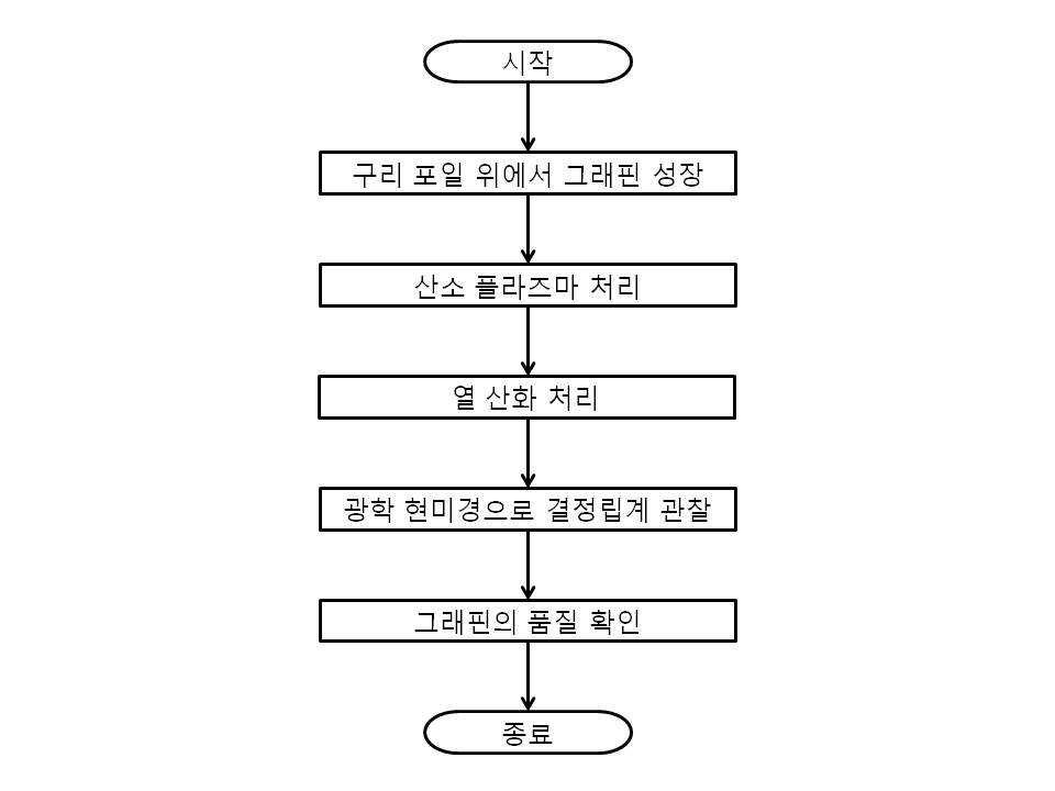 그래핀 결정립 관찰 방법 및 그래핀 결정립 관찰 장치 대표 이미지