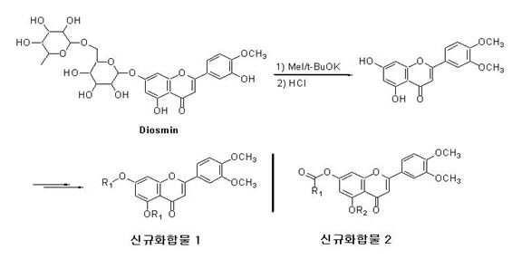 크로몬 유도체를 함유하는 미백용 화장료 조성물 대표 이미지