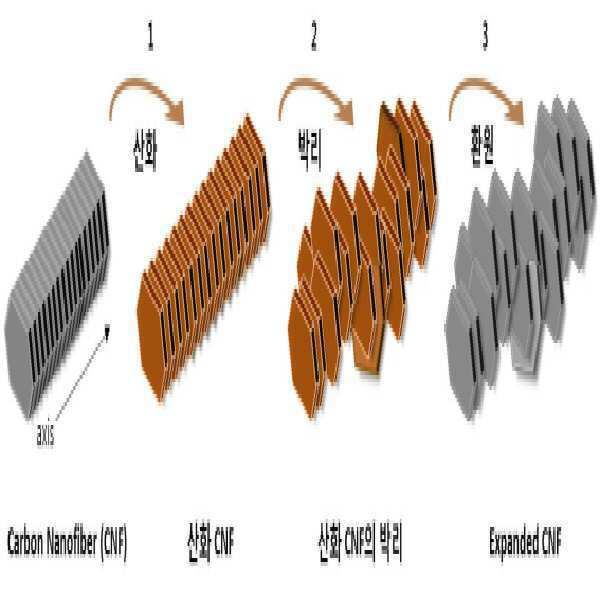 전기적 특성이 우수한 탄소 나노 섬유 및 그 제조 방법 대표 이미지