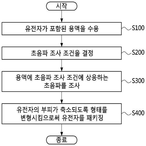 초음파를 이용하는 유전자 패키징 방법 및 이를 수행하는 장치 대표 이미지