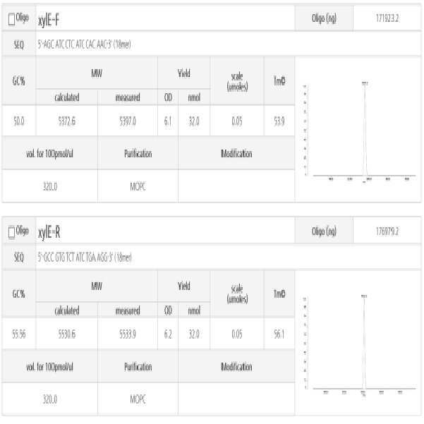 수돗물 내 유해성 미생물 검지를 위한 신규 프라이머 대표 이미지