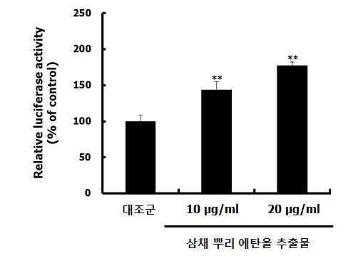 삼채 추출물을 함유하는 운동수행능력 향상용 조성물 대표 이미지