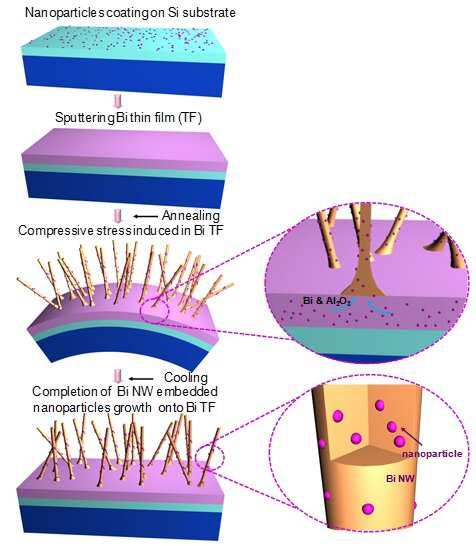나노입자가 삽입된 Bi 열전 나노와이어 및 이의 제조방법 대표 이미지