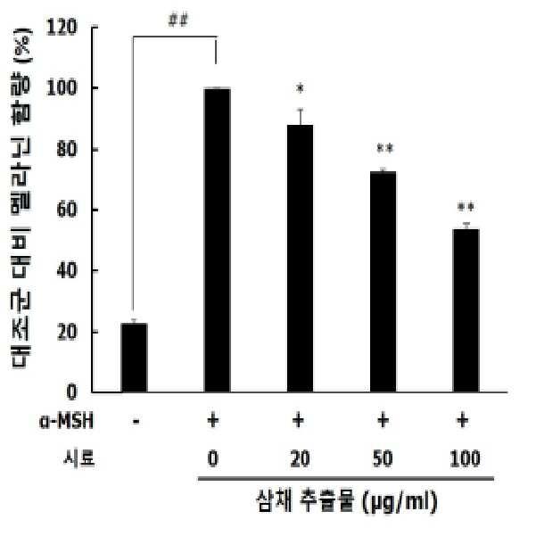 삼채 추출물을 유효성분으로 함유하는 피부 미백용 조성물 대표 이미지