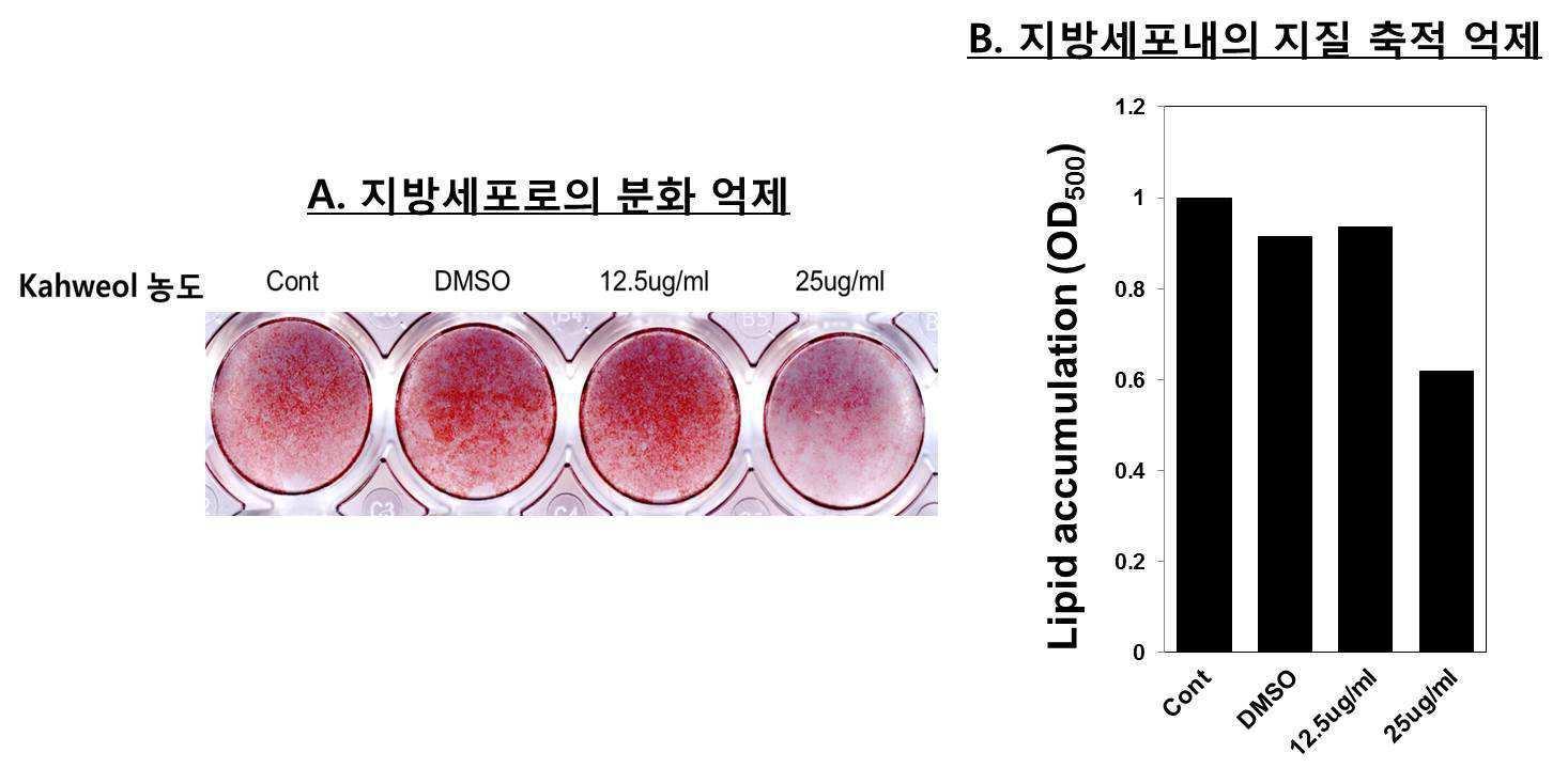 카월을 포함하는 비만 예방 또는 치료용 조성물 대표 이미지