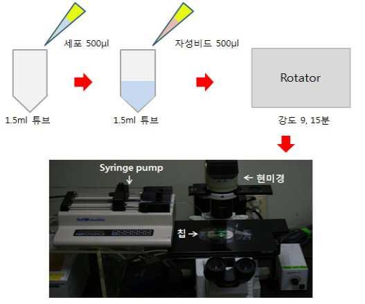 자성비드와 광열효과를 이용한 순환종양세포의 포획 및 바이오마커의 추출을 위한 장치 및 방법 대표 이미지
