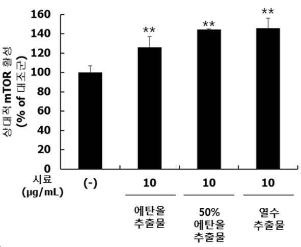 약쑥을 함유하는 근육 질환 예방 및 치료용 또는 근 기능 개선용 조성물 대표 이미지