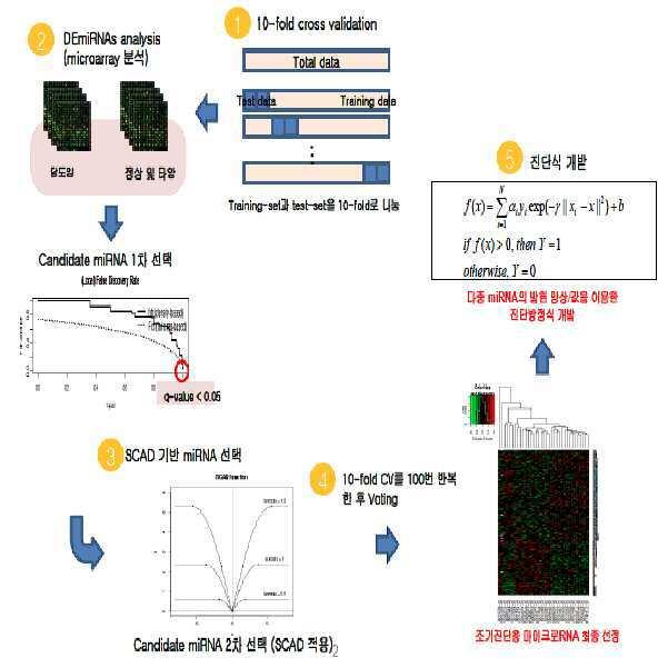 암 진단용 miRNA 바이오마커 발굴 방법 및 그 이용 대표 이미지