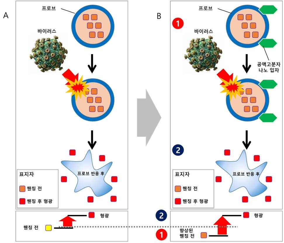 바이러스 검출용 키트 대표 이미지