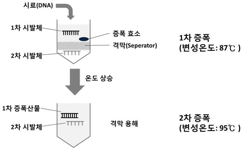 온도감응성 격막을 구비하는 이중중합효소연쇄반응용 튜브 대표 이미지