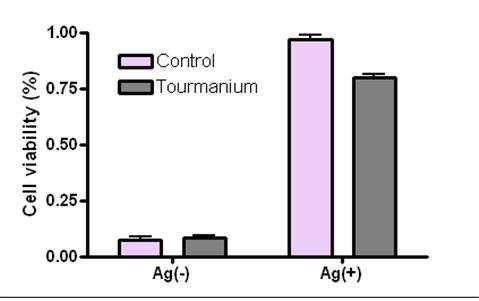 토르마늄을 유효성분으로 함유하는 항알레르기 효과를 갖는 조성물 대표 이미지