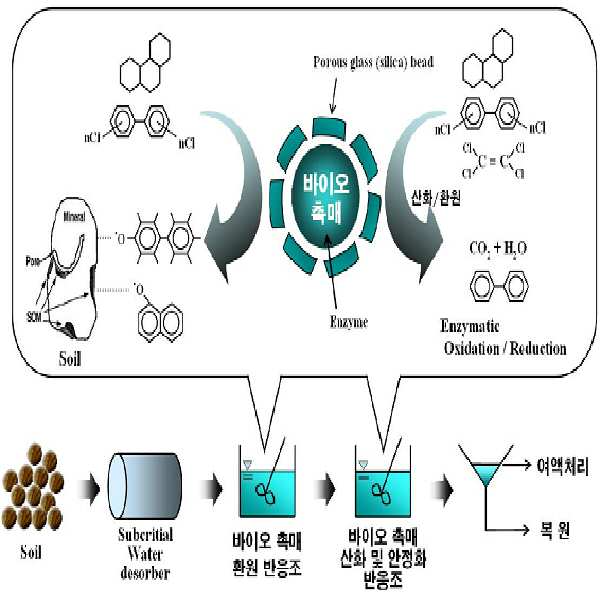 나노구조형 다중분해기능 바이오촉매 제재 대표 이미지