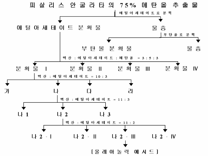 약용식물로부터 분리한 트리터펜계 화합물을 함유하는충치 예방용 항균 조성물 대표 이미지