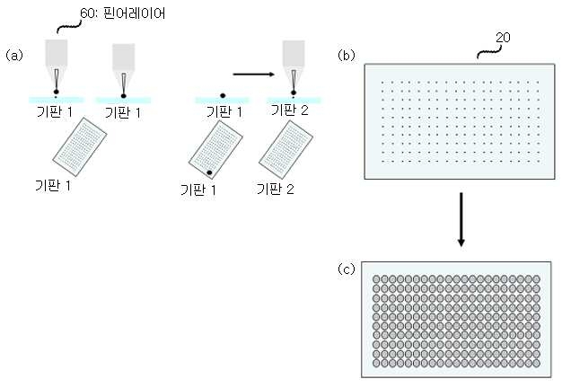 나노어레이 단백질 칩 및 이것의 제조 방법 대표 이미지