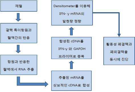 결핵의 진단을 위한 정보제공방법 및 이를 위한 결핵 진단용 키트 대표 이미지