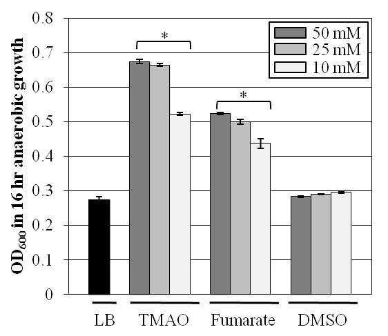 Ｔｒｉｍｅｔｈｙｌａｍｉｎｅ Ｎ-ｏｘｉｄｅ를 이용한 콜레라 톡신의 생산 방법 대표 이미지