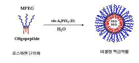 암세포 선택성을 갖고 체내에서 장기 순환하는 미셀형 백금착물 항암제 및 그 제조 방법 대표 이미지