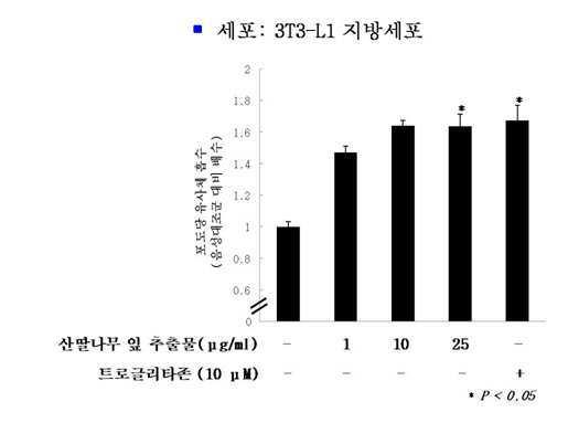 산딸나무 잎 추출물을 포함하는 항당뇨 조성물 대표 이미지