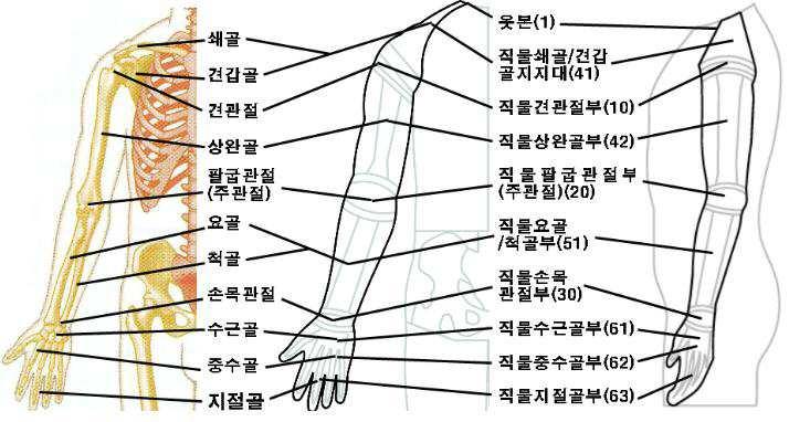 어깨 및 상지의 균형된 자세 유지와 근파워를 증가시켜주는 기능성 의류 대표 이미지