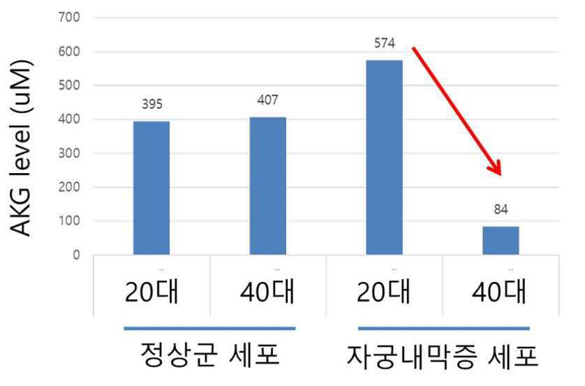 알파-케토글루타르산(AKG)를 이용한 자궁내막증 진단 또는 치료용 조성물 대표 이미지