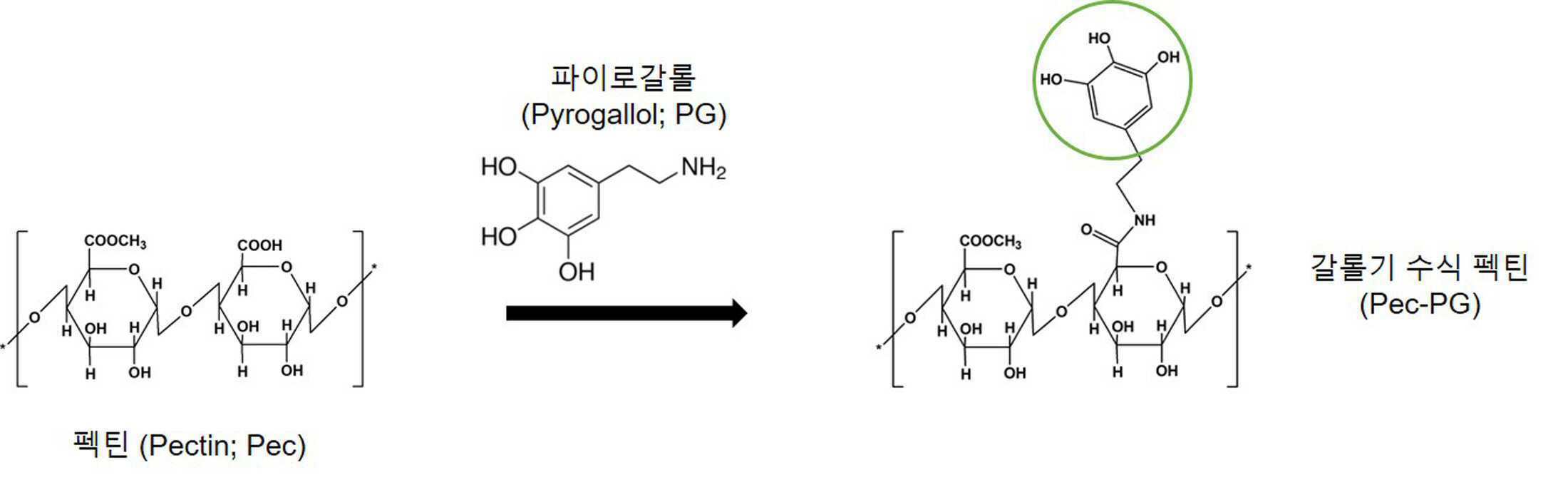 갈롤 유도체가 수식된 펙틴 및 그의 용도 대표 이미지