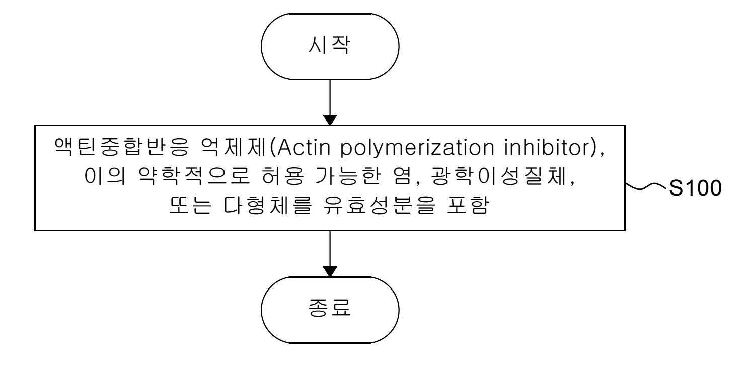 방사선 치료 민감성 증진용 조성물 대표 이미지