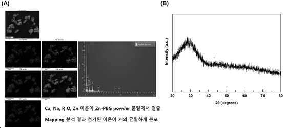 치아 재광화 효과가 우수한 Zn-PBG 유리 파우더, 이를 이용한 치과 교정용 브라켓 접착제 조성물 및 이의 제조방법 대표 이미지