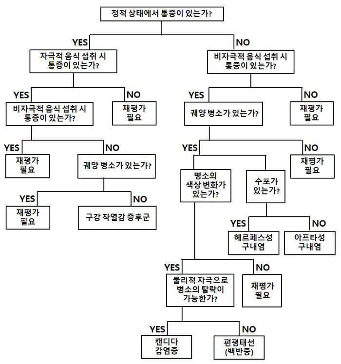 연조직 질환 감별 방법, 및 이를 포함하는 장치 대표 이미지