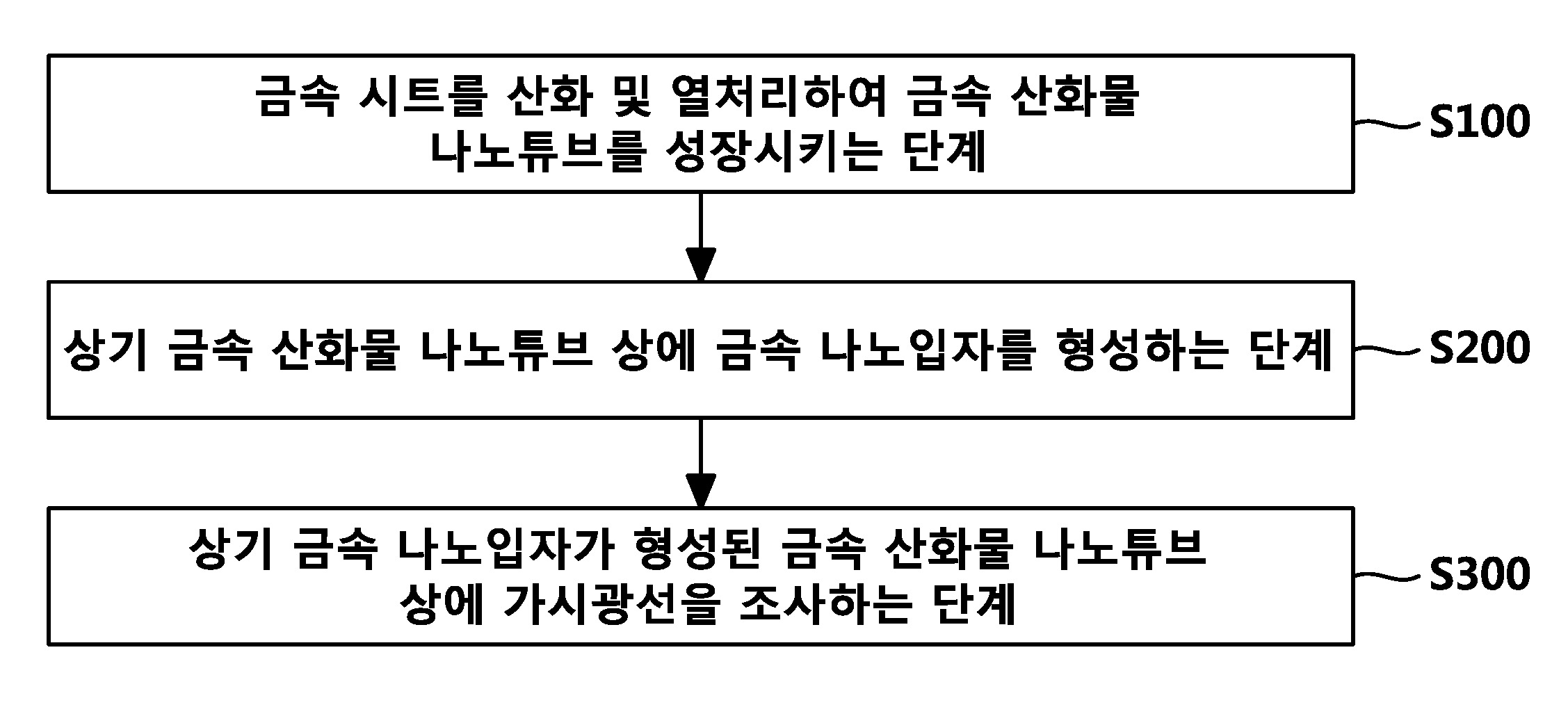 가시광 매개 골형성 촉진 조성물 및 이의 제조 방법 대표 이미지