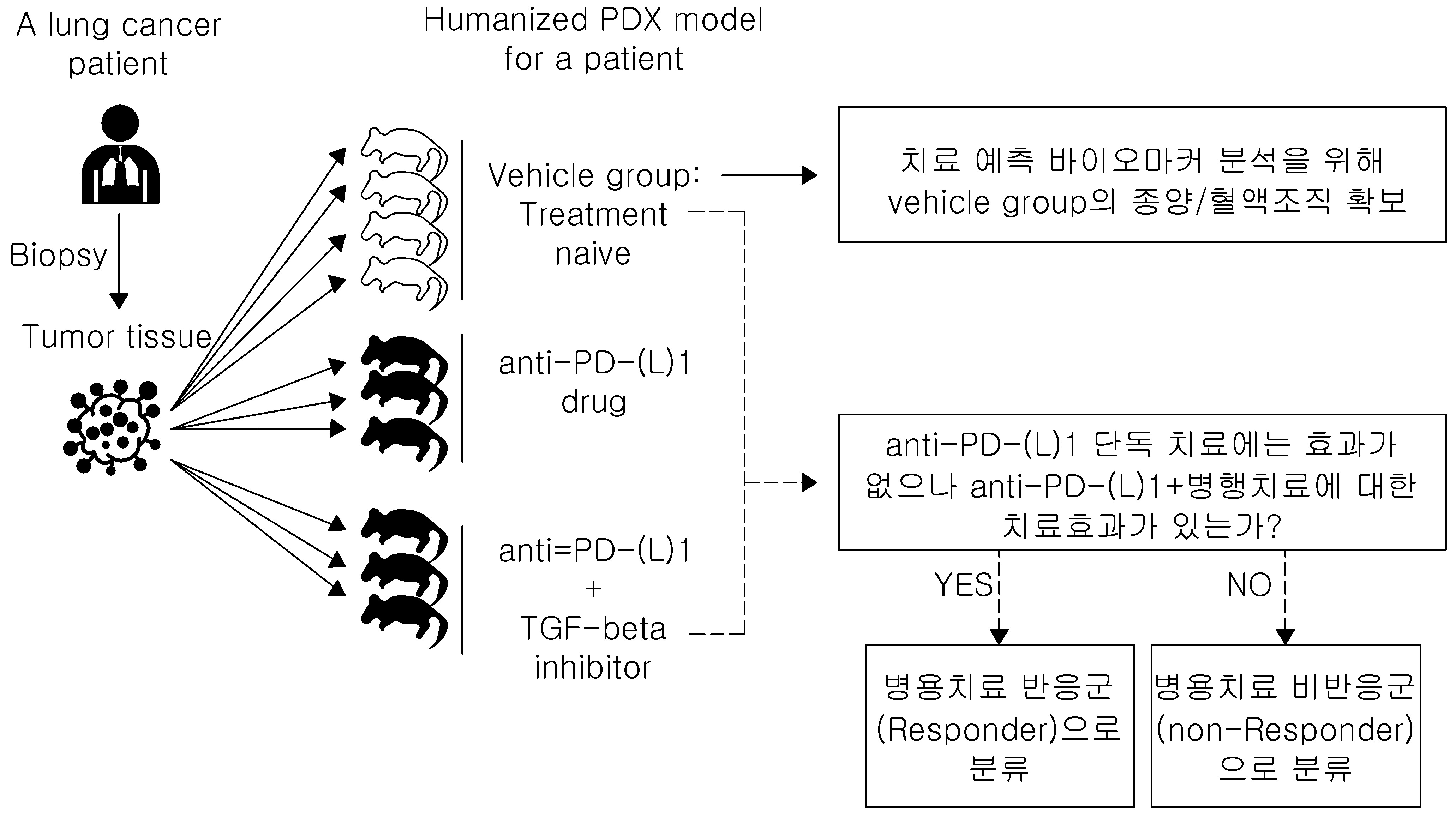 면역항암치료에 대한 치료 반응성 예측용 바이오마커 및 이를 이용하는 방법 대표 이미지