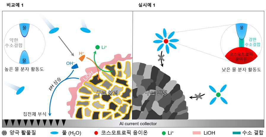 양극용 수계 슬러리 조성물, 이로부터 제조되는 양극 및 리튬 이차 전지 대표 이미지