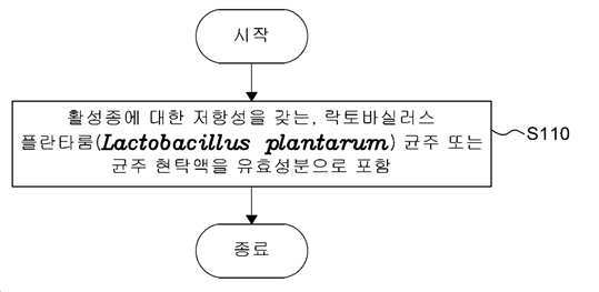 활성질소종에 대한 저항성을 갖는 락토바실러스 플란타룸 균주 및 이의 용도  대표 이미지