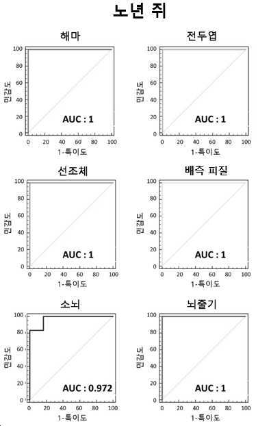 알츠하이머 질환 조기진단용 바이오마커 조성물 및 이의 용도 대표 이미지