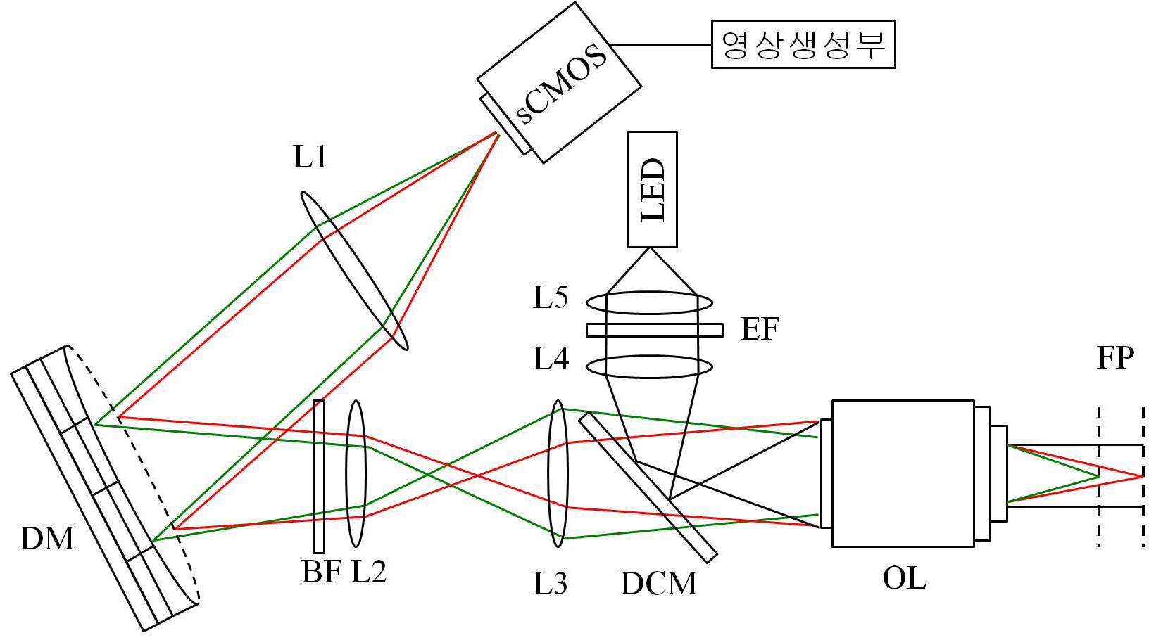 목시플록사신을 이용한 생체조직표면 세포 영상검사장치 및 목시플록사신을 이용한 생체조직표면 세포 영상검사방법 대표 이미지