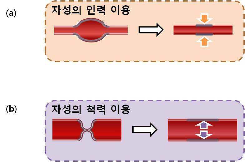 수면 무호흡증의 예방 또는 치료용 자성 세포 및 이의 제조 방법 대표 이미지