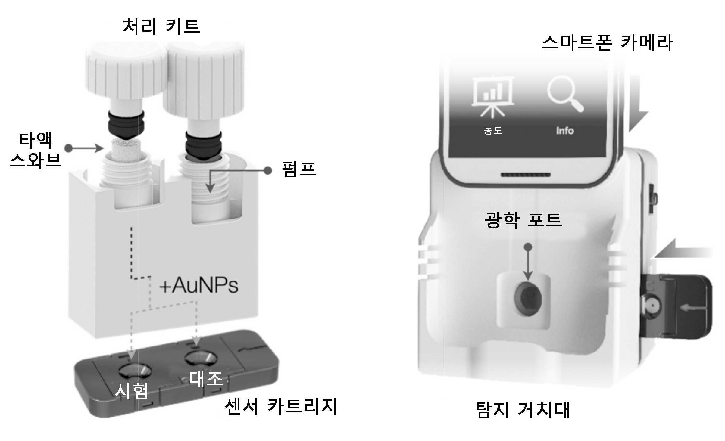 테트라하이드로칸나비놀의 신속한 현장 정량 대표 이미지