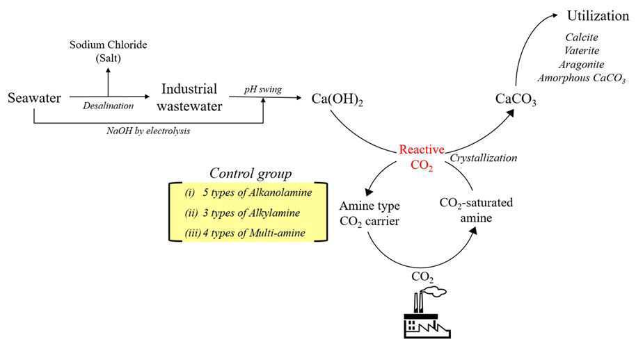 아민계 흡수제의 구조적 특성을 활용한 탄산칼슘 성상제어 및 해수담수화 폐수 활용 CO2 재이용 기술 대표 이미지
