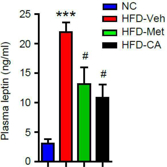 페놀산 유도체를 유효성분으로 포함하는 식욕 억제용 조성물 대표 이미지