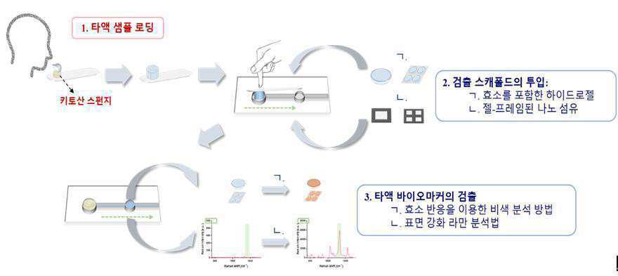 스폰지를 이용한 정량적 타액 채취 및 나노섬유와 하이드로젤을 이용한 효과적인 바이오 마커 검출 가능한 생분해성 고분자 3D 장치의 제작 및 설계 방법 대표 이미지