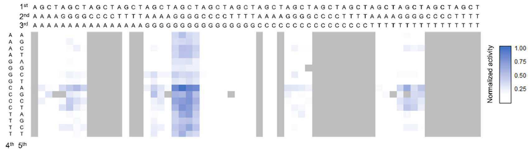 세포의 유전체에서 표적 핵산을 변형시키는 방법 대표 이미지