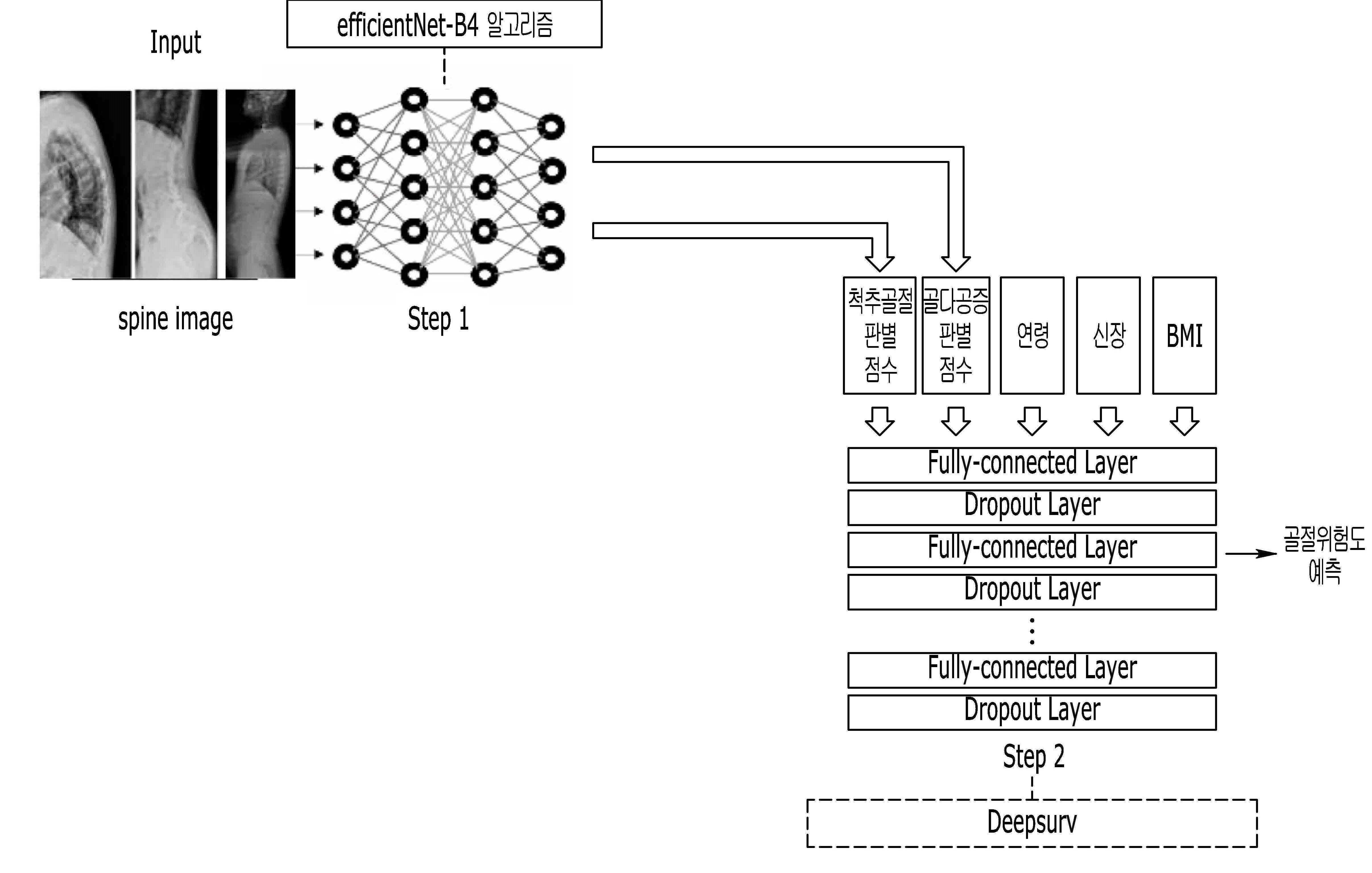 척추 방사선 영상 기반의 골절 위험도 예측을 위한 머신 러닝 방법 및 시스템 그리고 이를 이용한 골절 위험도 예측 방법 및 시스템 대표 이미지