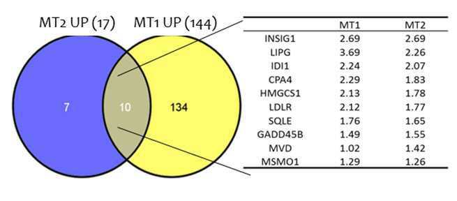 miRNA 발현 수준으로부터 UQCRB 관련 질병을 진단하는 방법 대표 이미지