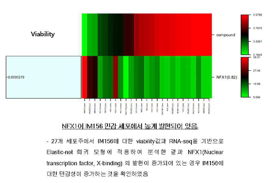 암 예후 예측용 바이오마커 대표 이미지