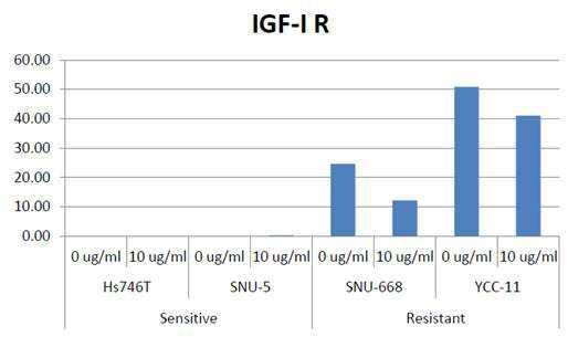 c-Met 저해제 및 IGF-1R 저해제를 포함하는 병용 투여용 약학 조성물 대표 이미지