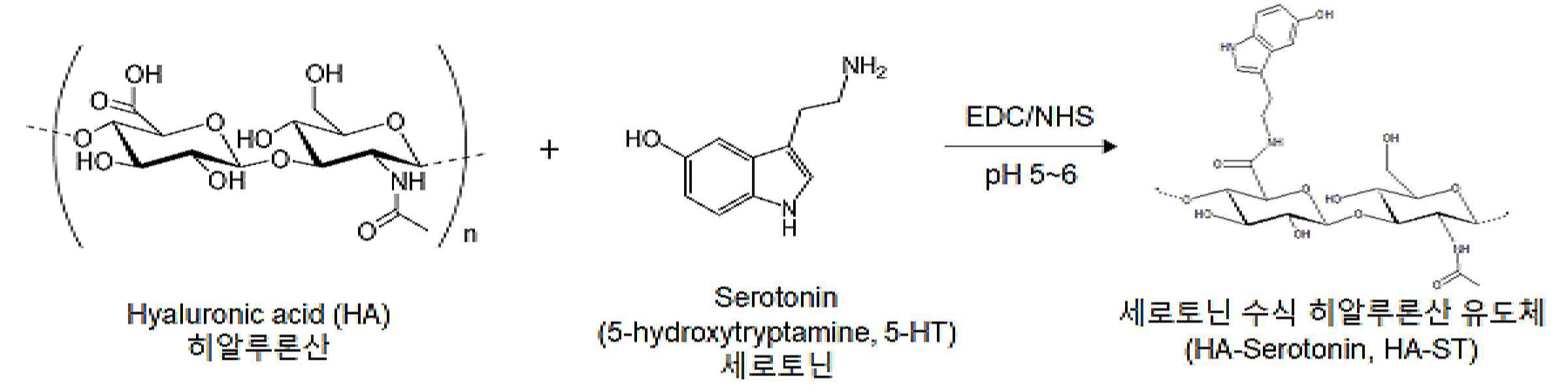 세로토닌 수식 히알루론산을 포함하는 하이드로젤 및 이의 용도 대표 이미지