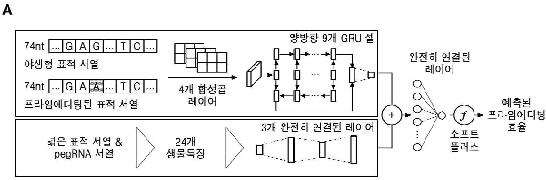 다양한 세포 유형에서 다양한 프라임에디터의 프라임에디팅 효율 예측 방법 및 장치 대표 이미지