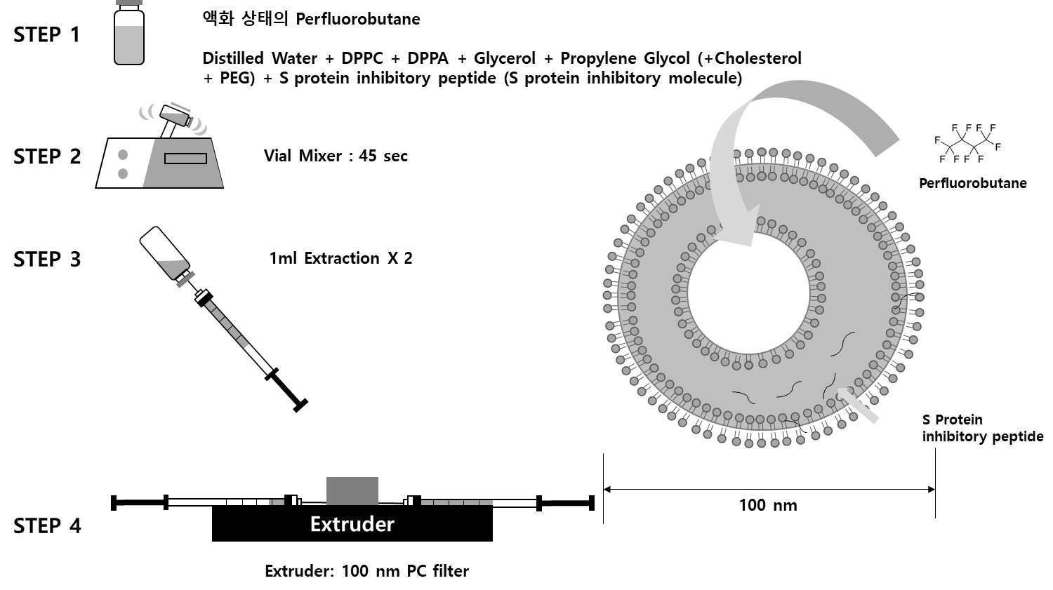 코로나바이러스를 약화시키기 위한 기능성 펩타이드 전달체로서 기체를 내포한 리포좀 대표 이미지