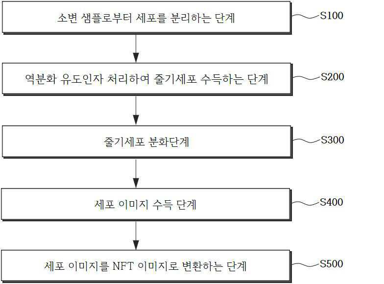 세포 이미지 기반 NFT 제작을 위한 세포 확보 방법 대표 이미지